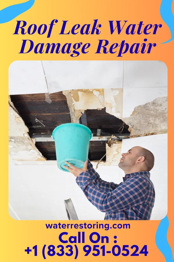 Roof Leak Water Damage Repair in Oak Park, MI