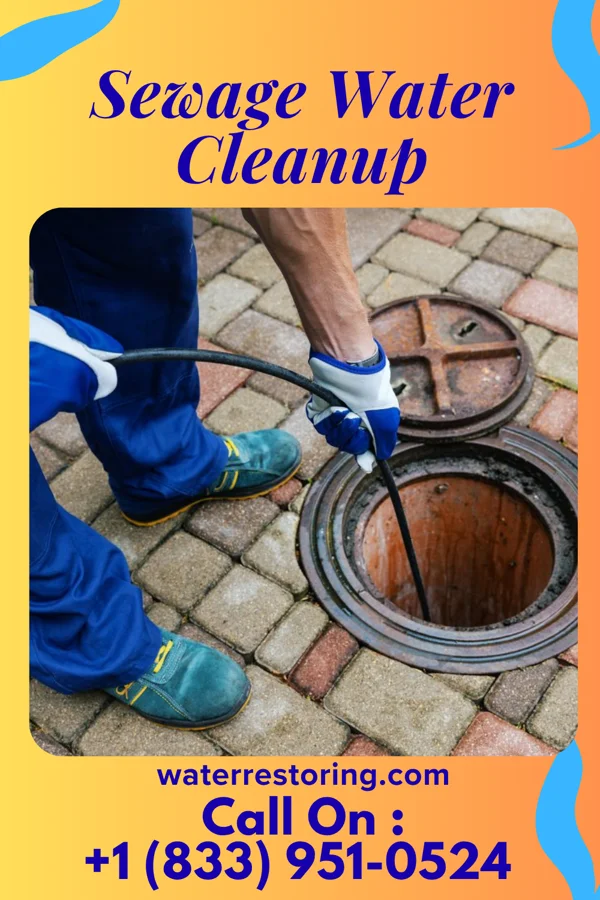 Sewage Water Cleanup in Oak Park, MI